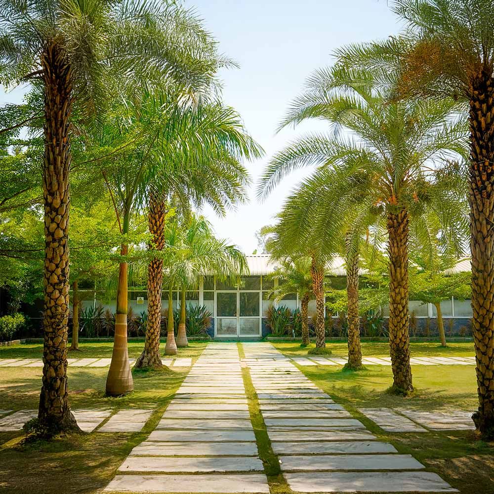 Lago Palms Bangalore